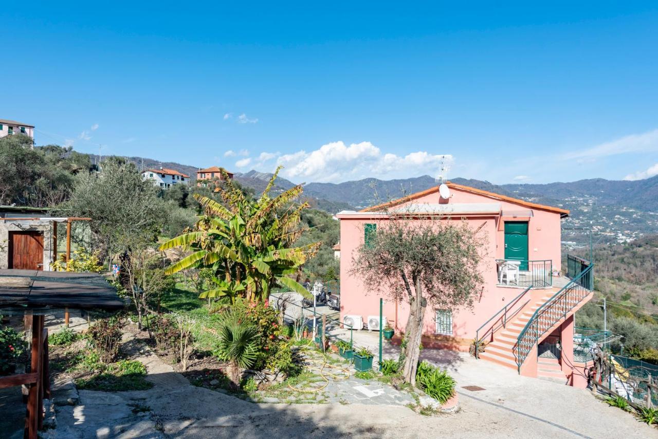 Alla Casa Rosa, Peaceful Apartment Surrounded By Greenery With Free Parking, Wifi & Air Conditioning 拉帕洛 外观 照片