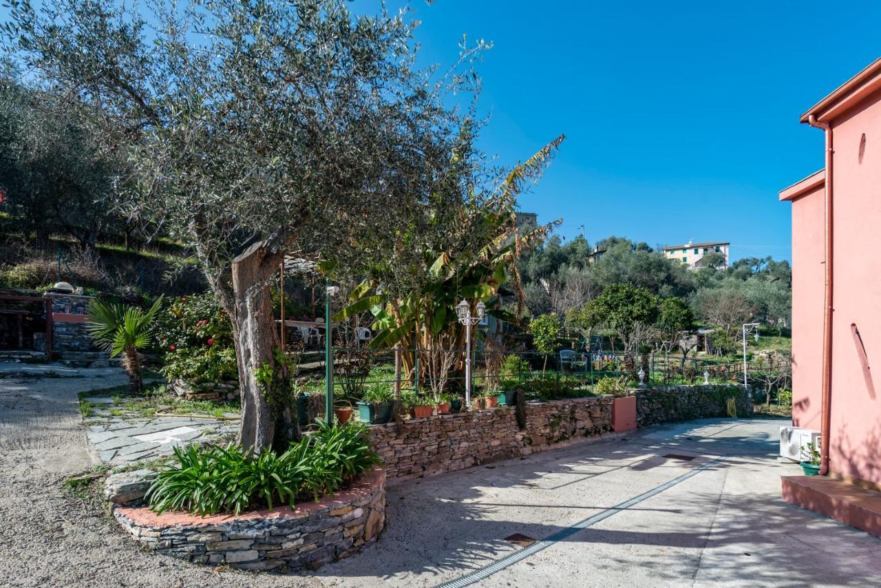 Alla Casa Rosa, Peaceful Apartment Surrounded By Greenery With Free Parking, Wifi & Air Conditioning 拉帕洛 外观 照片